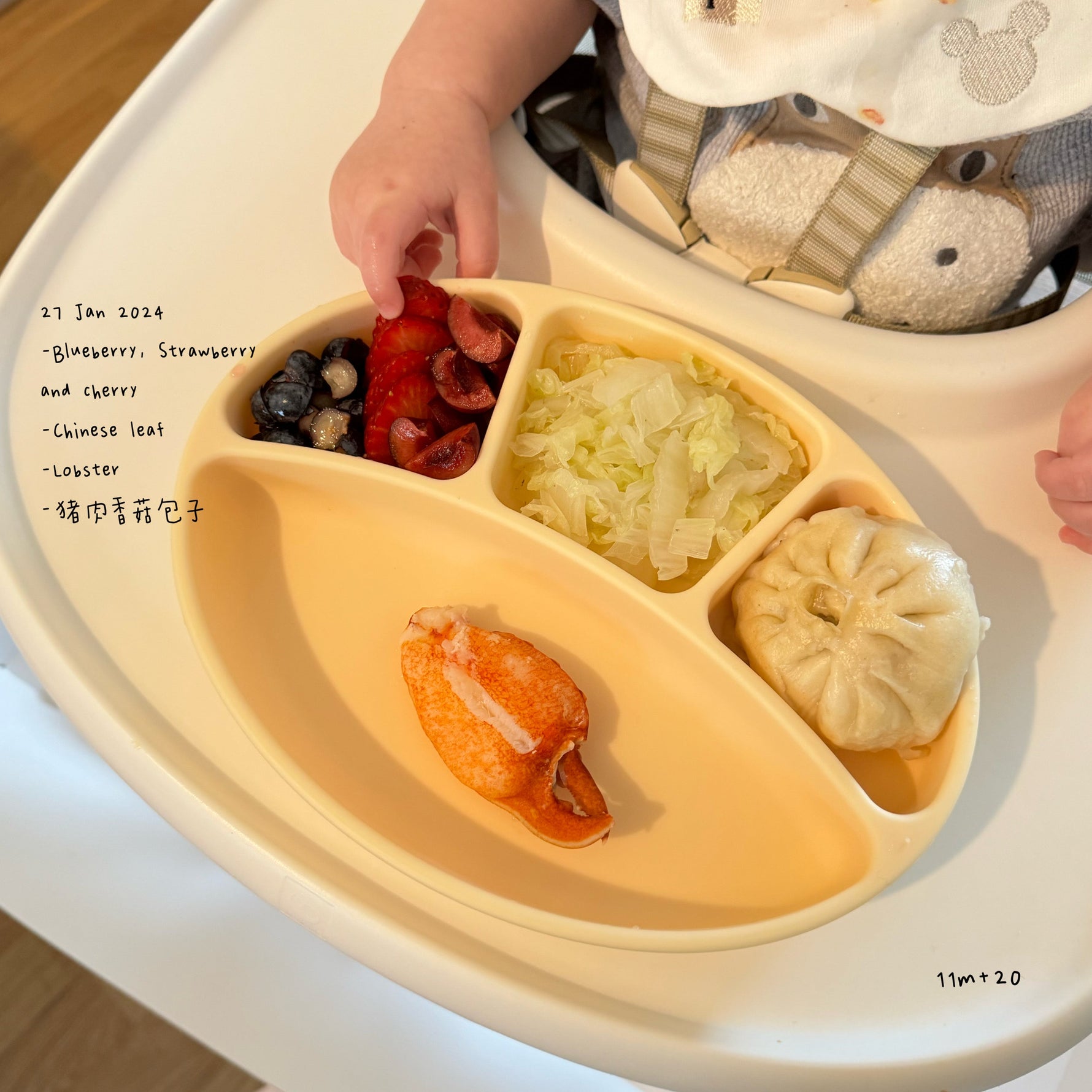 Loomie Daily Meal #13 – 11m Luxe Little Feast