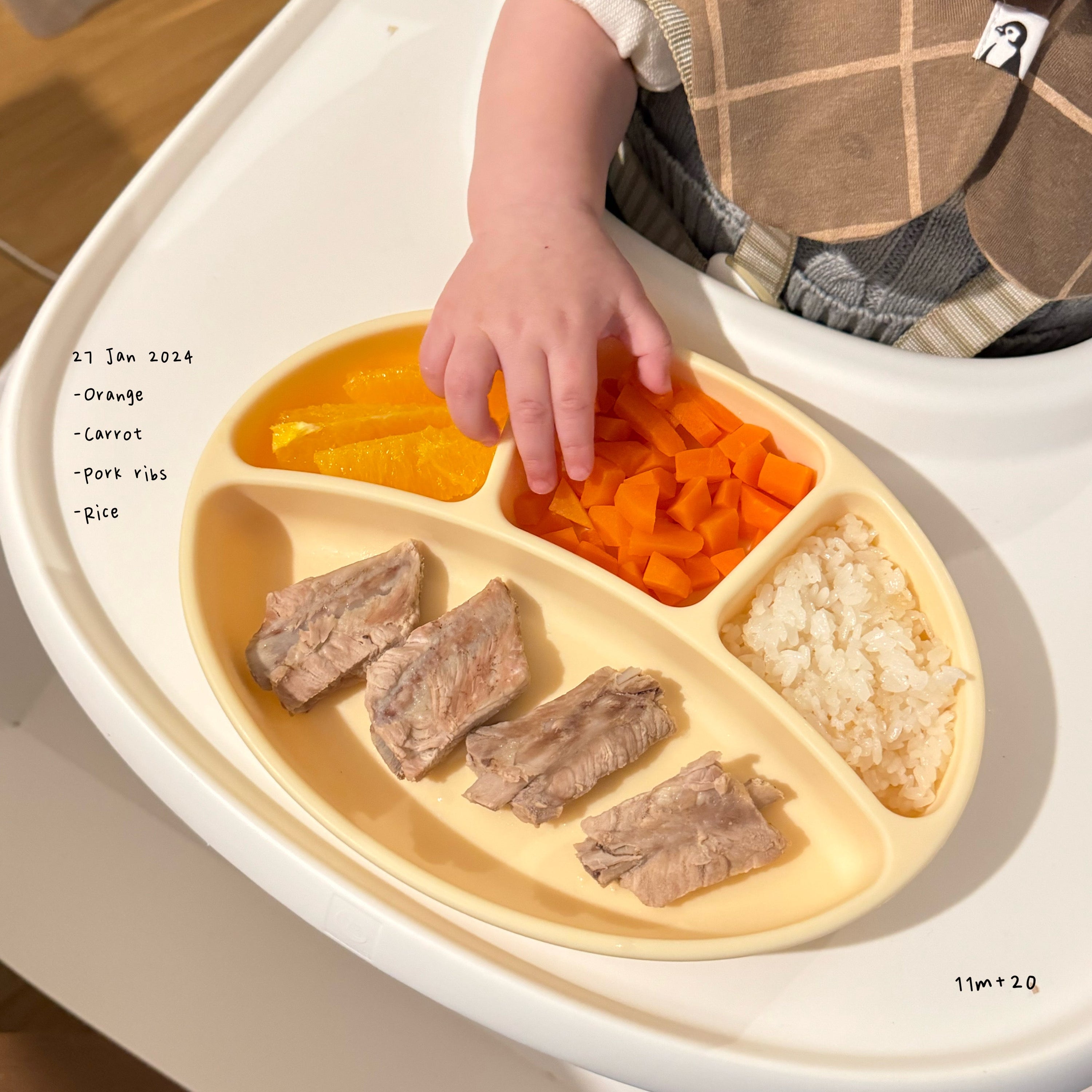 Loomie Daily Meal #14 – 11m Classic Comfort Plate