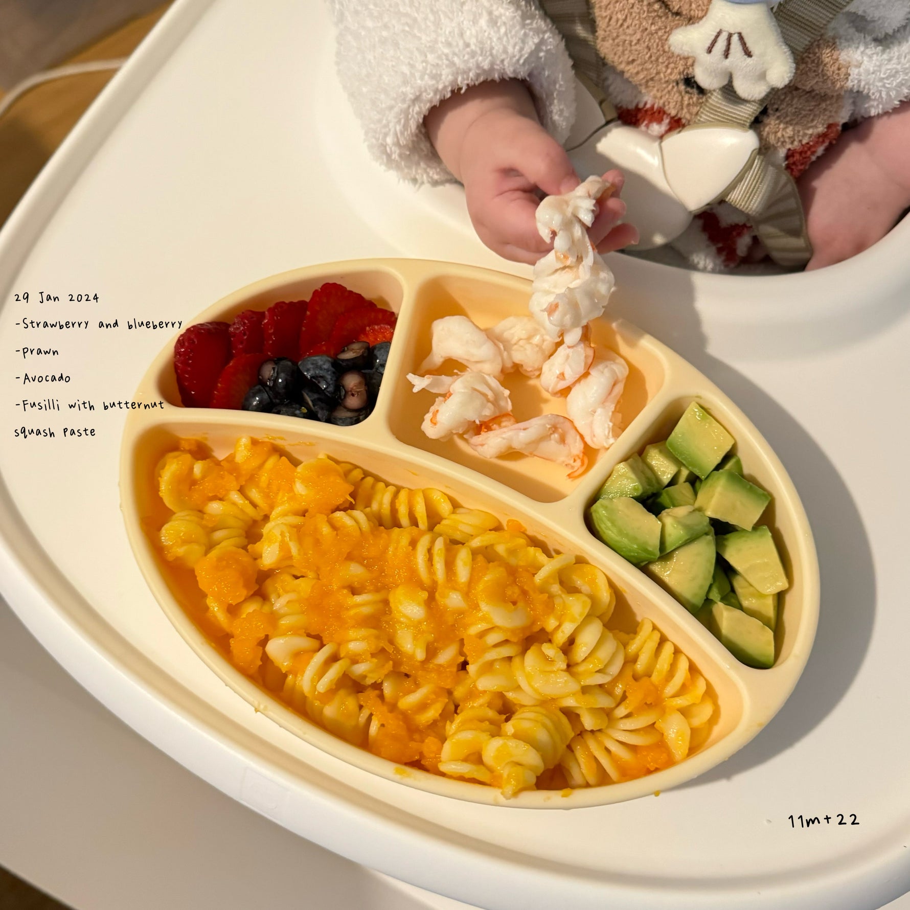 Loomie Daily Meal #15 – 11m Colourful Pasta Plate