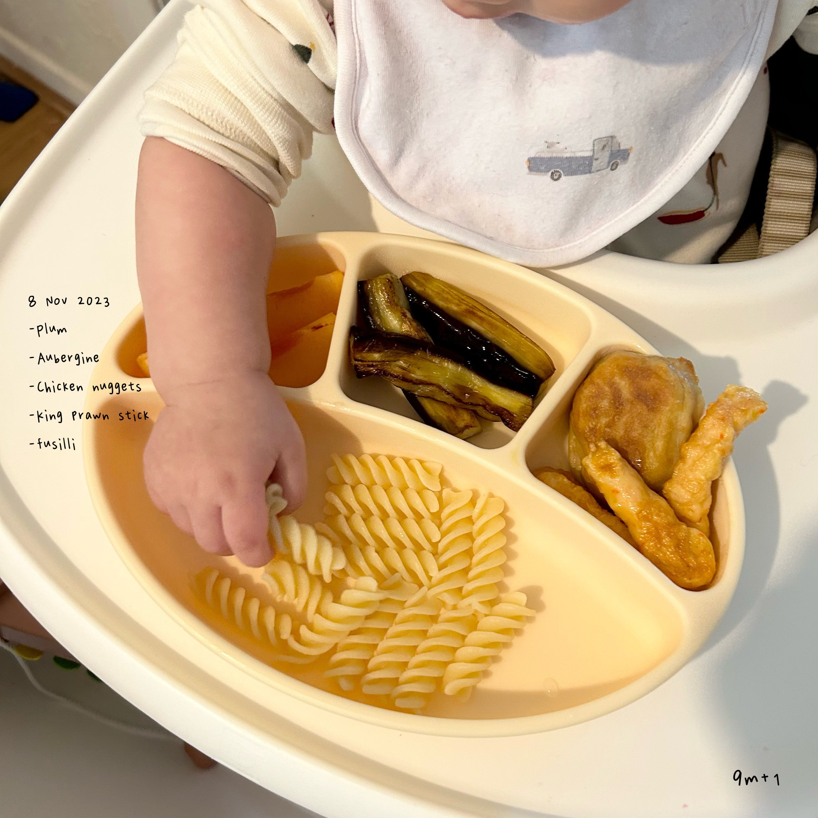 Loomie Daily Meal #02 - 9m Tasty Textures & Self-Feeding Fun