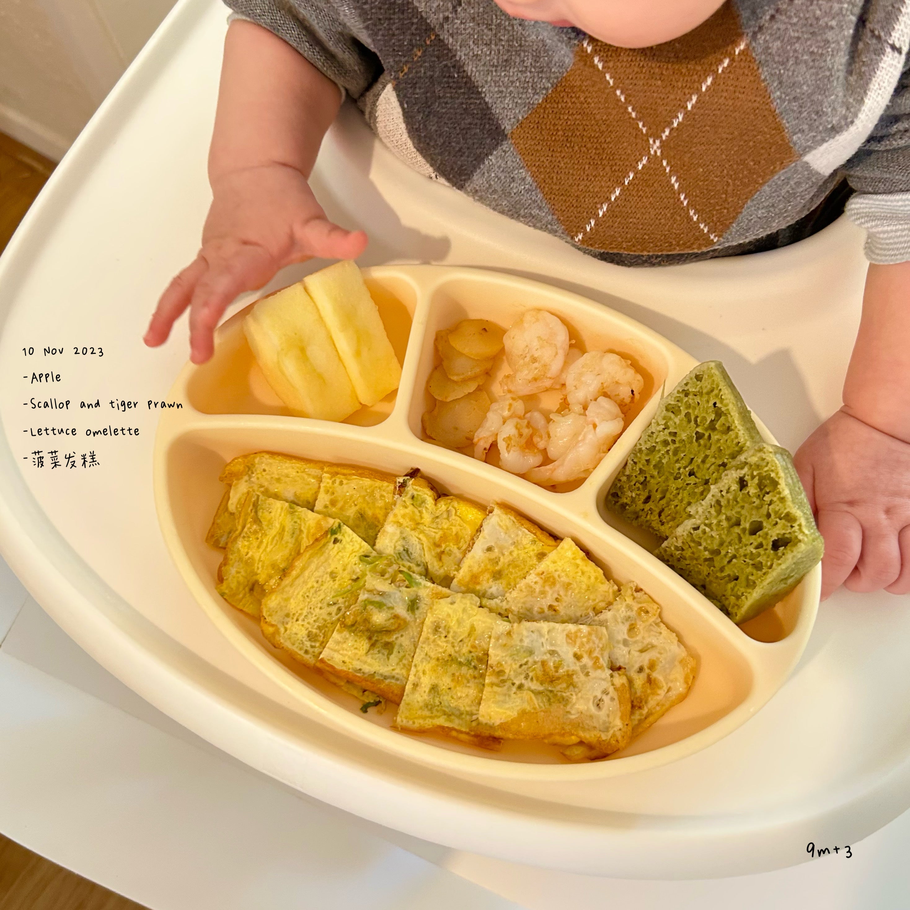 Loomie Daily Meal #03 - 9m Ocean Fresh & Green Goodness