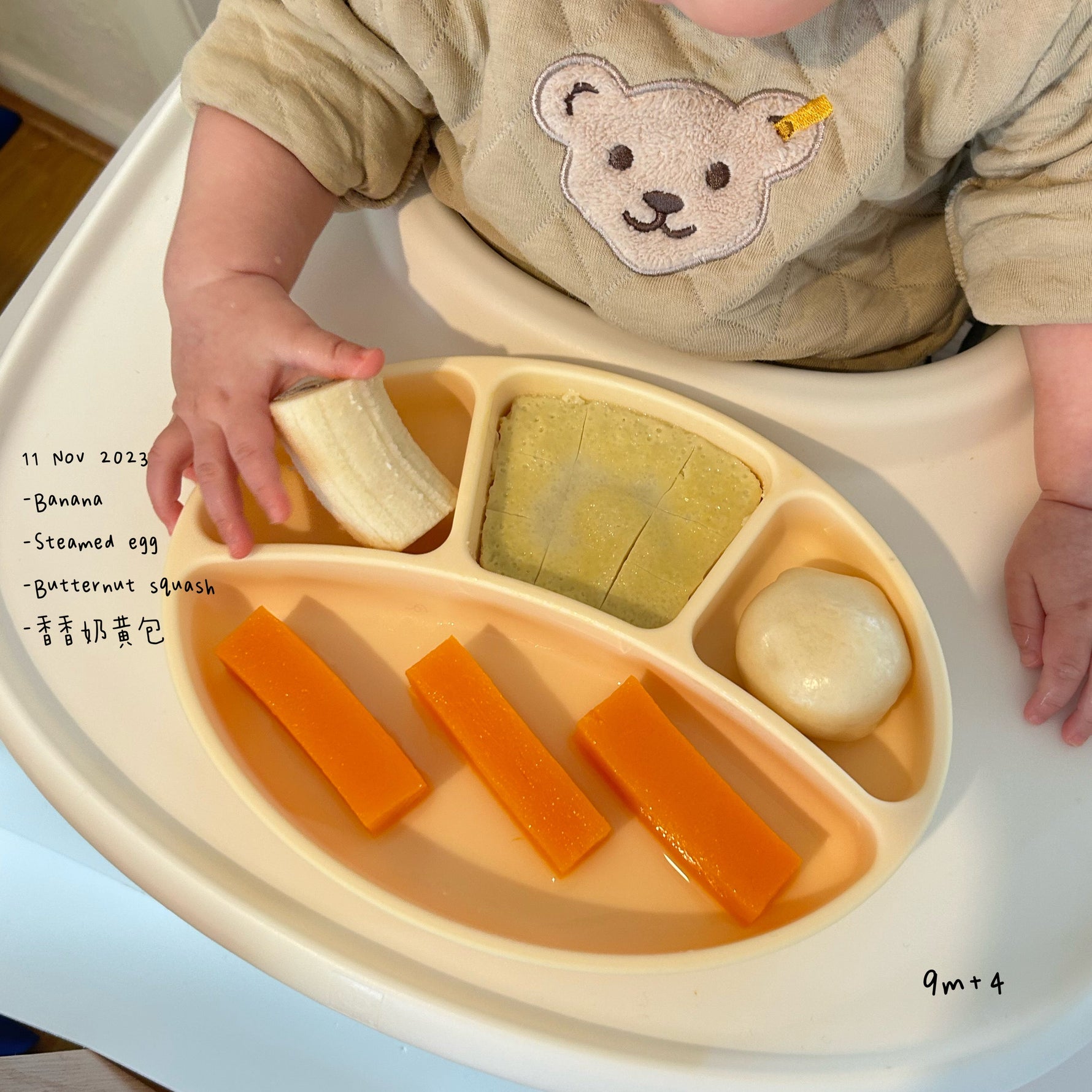 Loomie Daily Meal #04 - 9m Soft & Sunny Bites