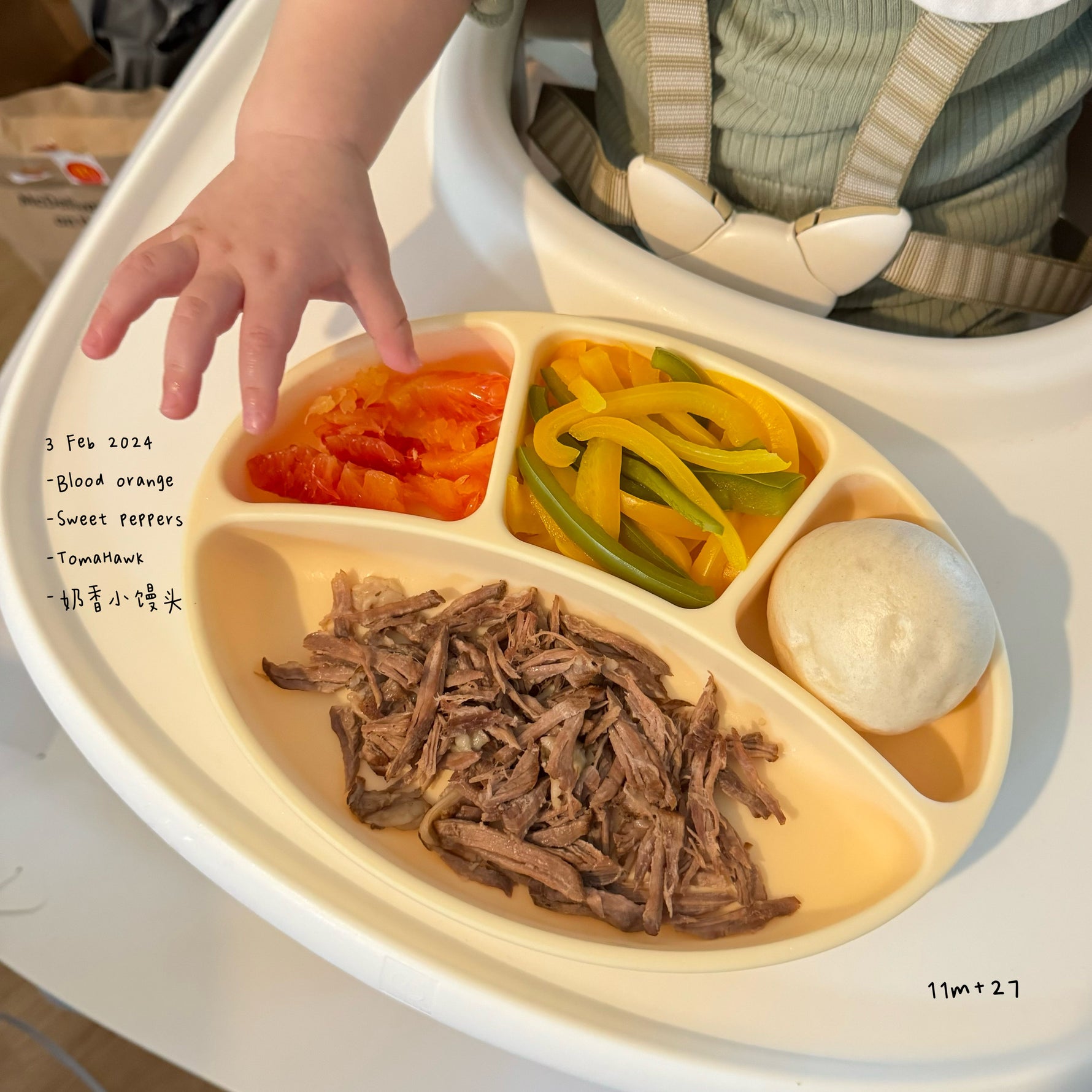 Loomie Daily Meal #16 – 11m Bold Flavours Plate