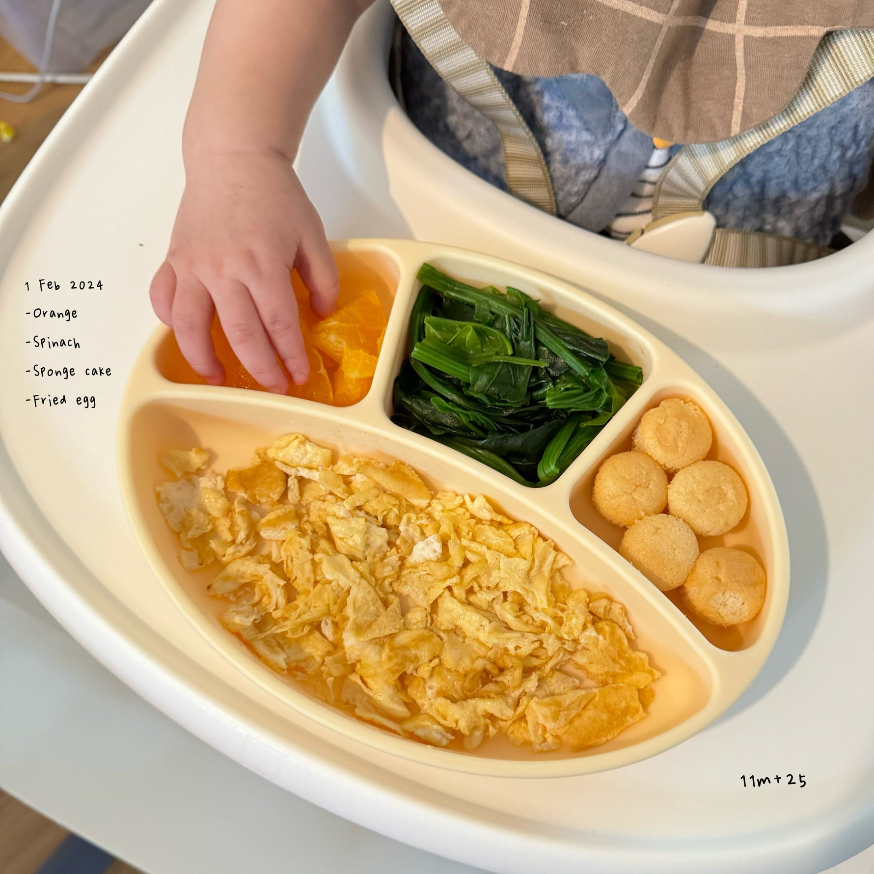 Loomie Daily Meal #17 – 11m Bright & Simple Plate