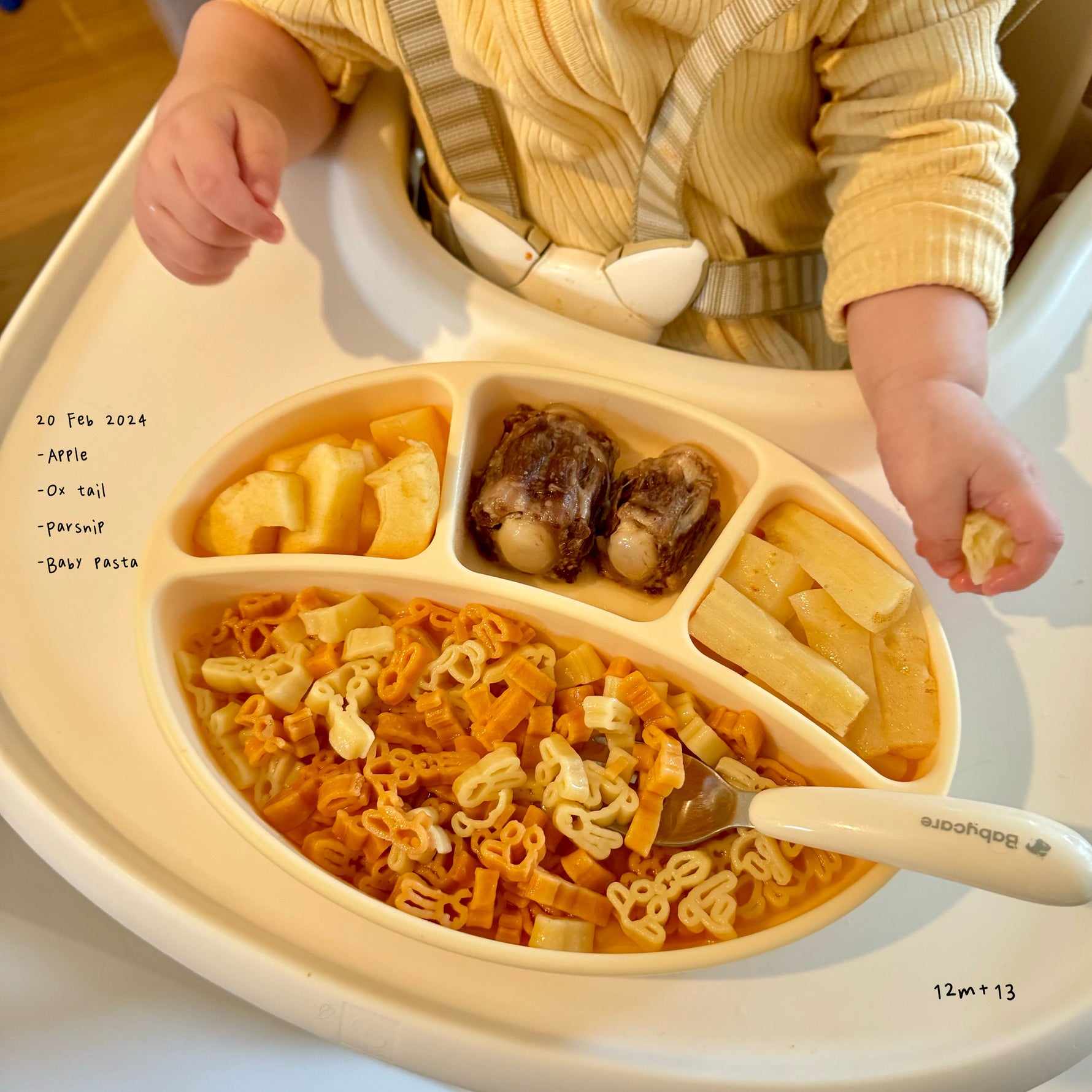 Loomie Daily Meal #01 – 12m First Day to become 12m