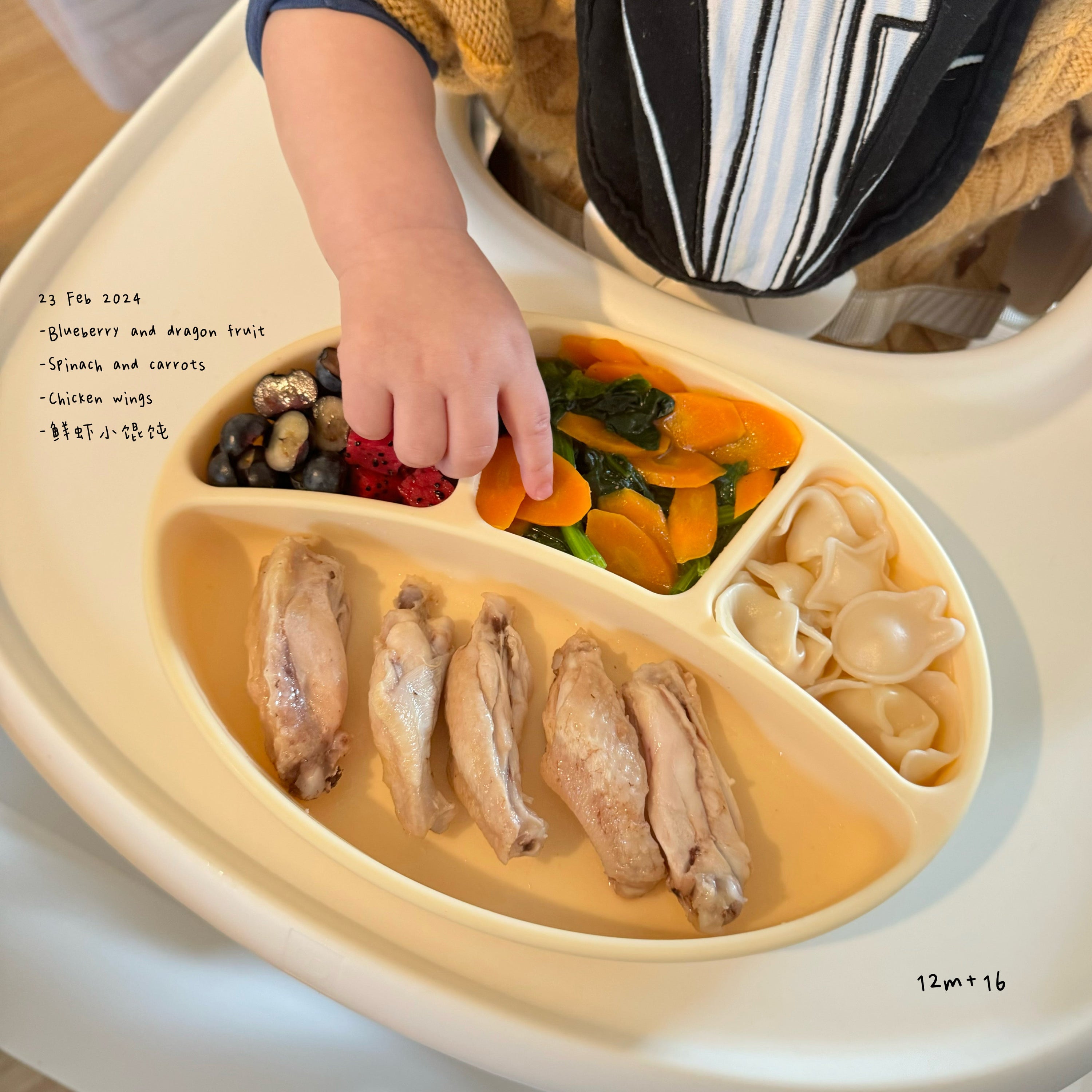 Loomie Daily Meal #04 – 12m Colorful Balance