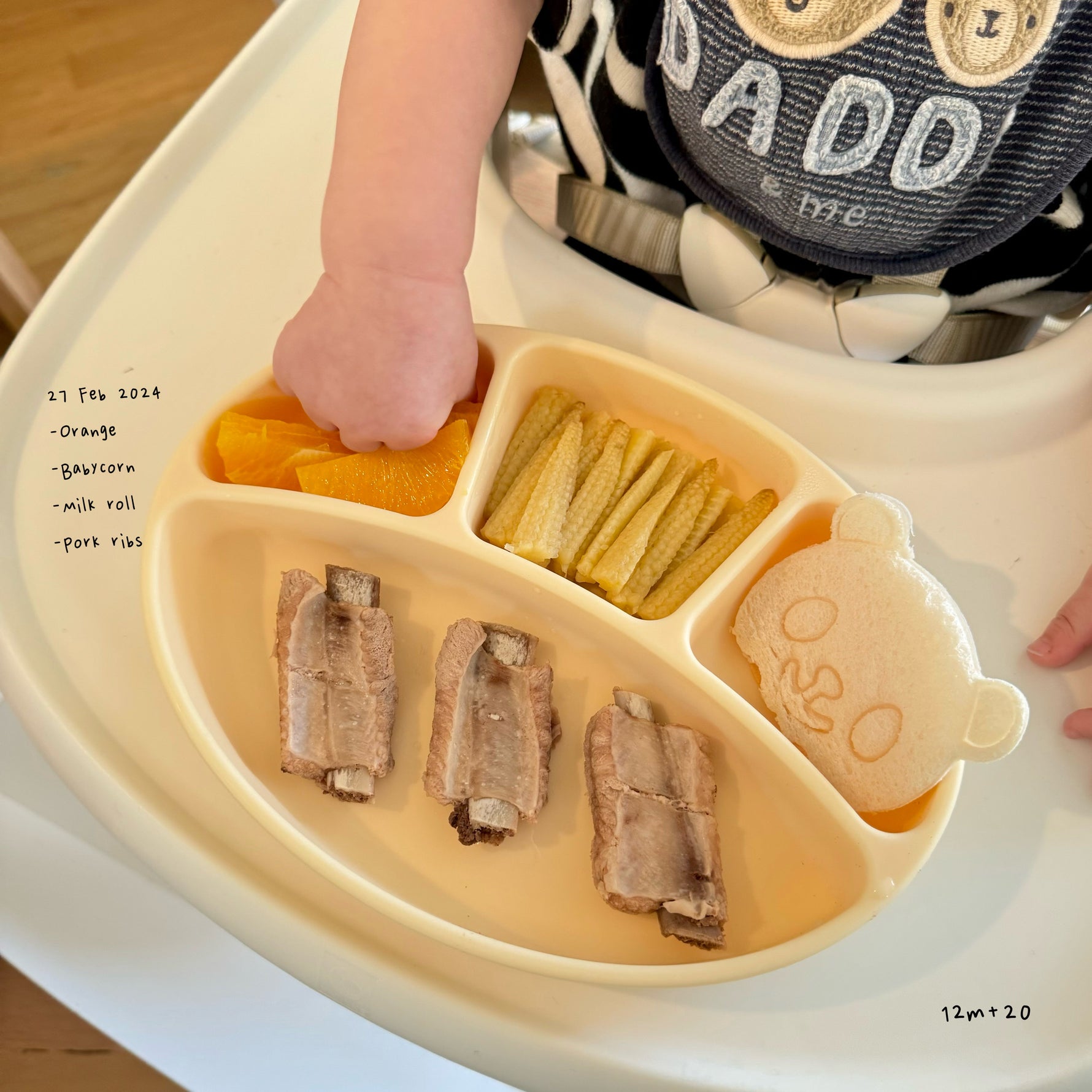 Loomie Daily Meal #06 – 12m Nutritious Variety