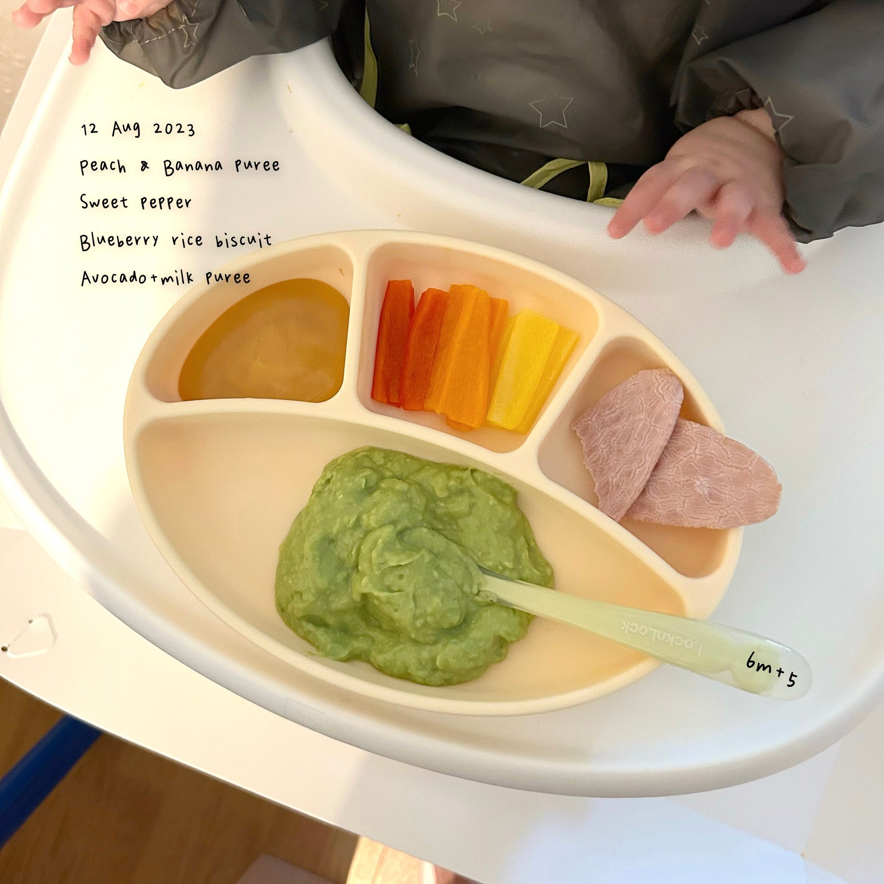 Loomie Daily Meal #01 – 6m+ Avocado Purée Plate
