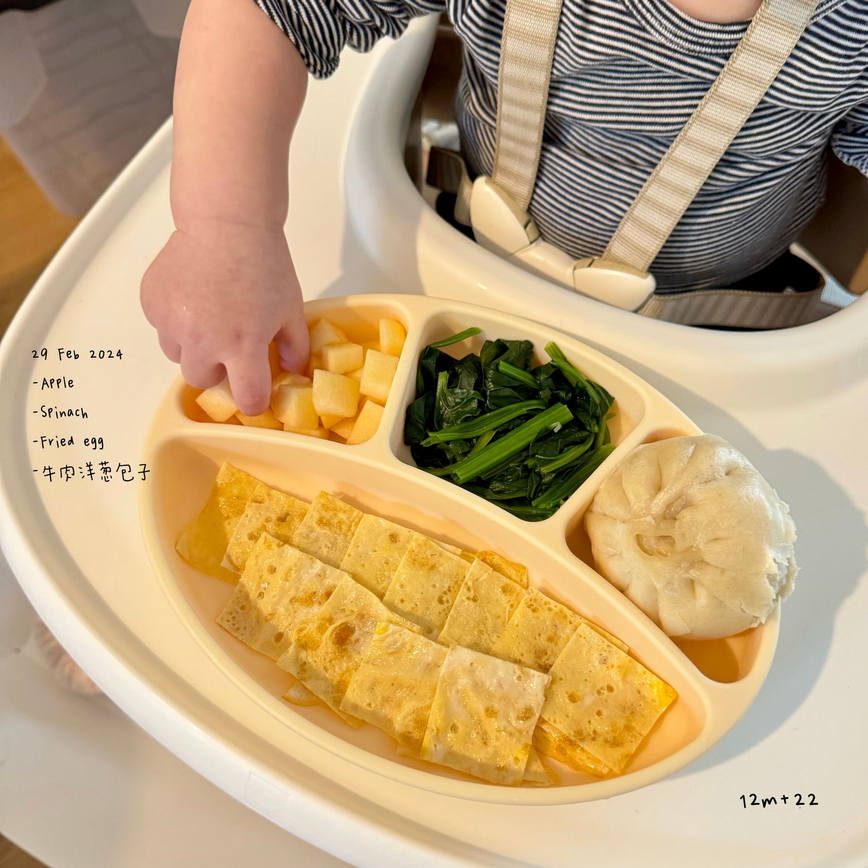 Loomie Daily Meal #08 – 12m Simple & Wholesome