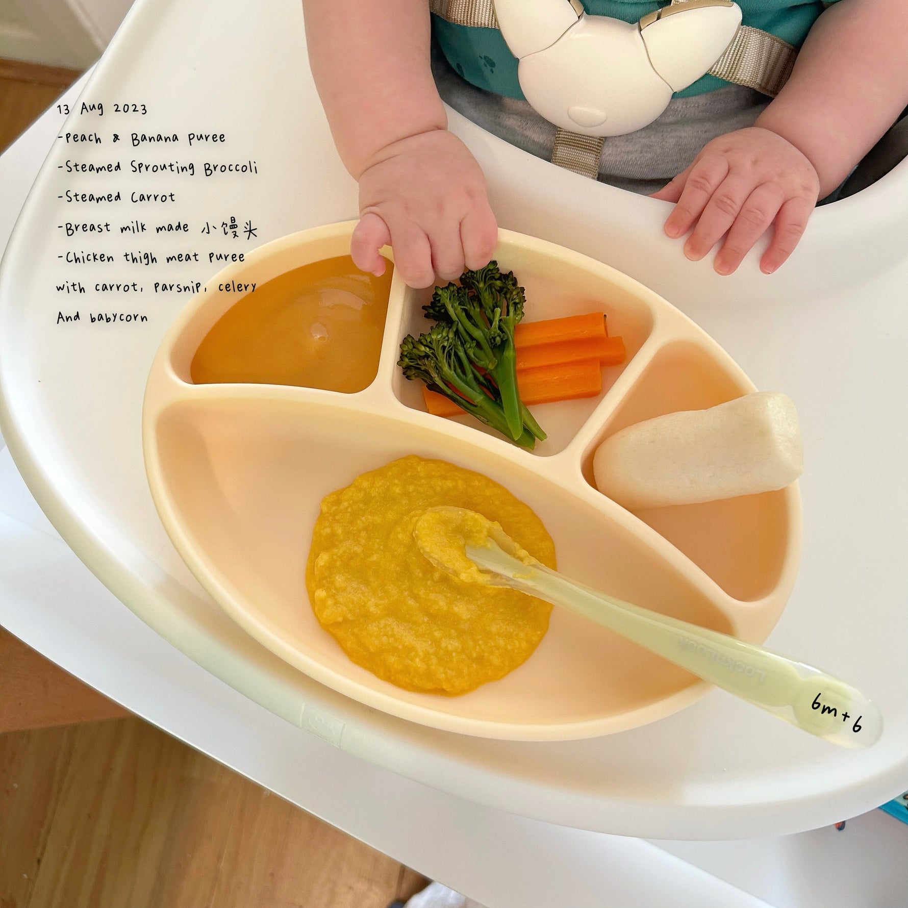Loomie Daily Meal #02 - 6m+ Chicken Veggie Purée